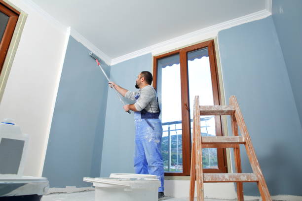 Best Mold Odor Removal Services  in Reedurban, OH