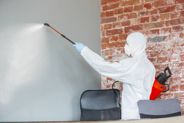 Best HVAC Mold Inspection and Cleaning  in Reedurban, OH
