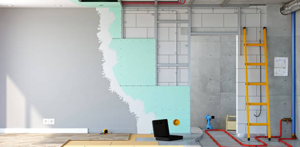 Best Black Mold Removal  in Reedurban, OH