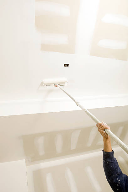 Best Mold Remediation for Rental Properties  in Reedurban, OH