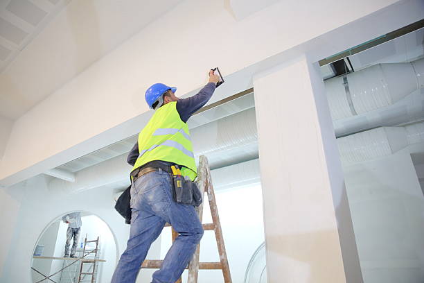 Best Basement Mold Removal  in Reedurban, OH